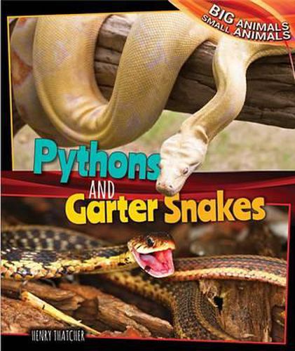 Cover image for Pythons and Garter Snakes