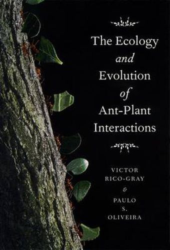 Cover image for The Ecology and Evolution of Ant-plant Interactions