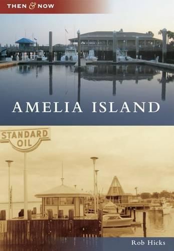 Cover image for Amelia Island