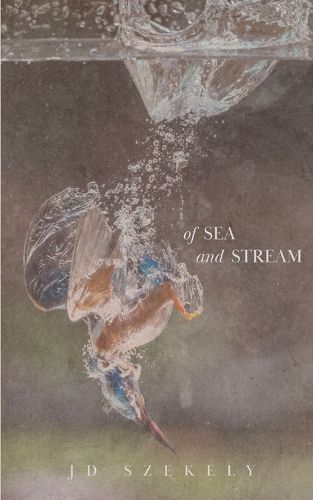Cover image for Of Sea and Stream