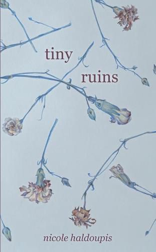 Cover image for Tiny Ruins