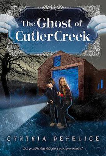 Cover image for The Ghost of Cutler Creek