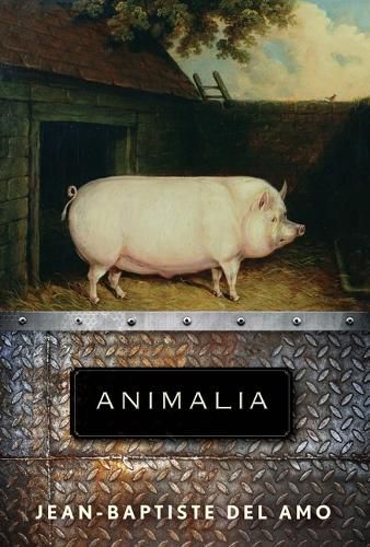 Cover image for Animalia