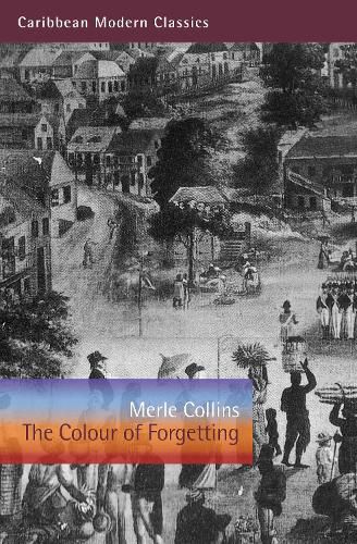 Cover image for The Colour of Forgetting