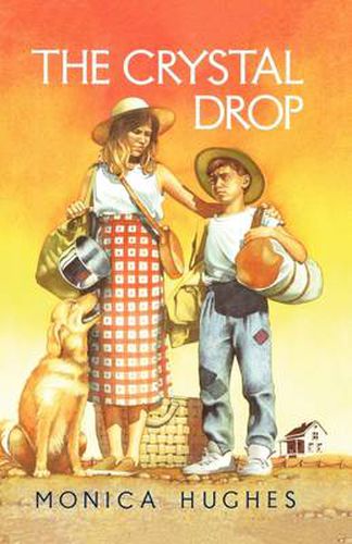 Cover image for The Crystal Drop