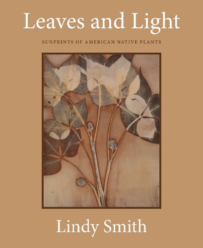 Cover image for Leaves and Light