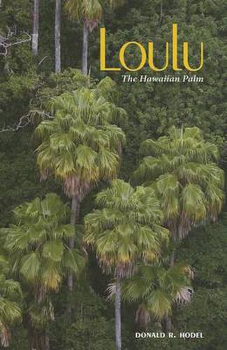 Loulu: The Hawaiian Palm