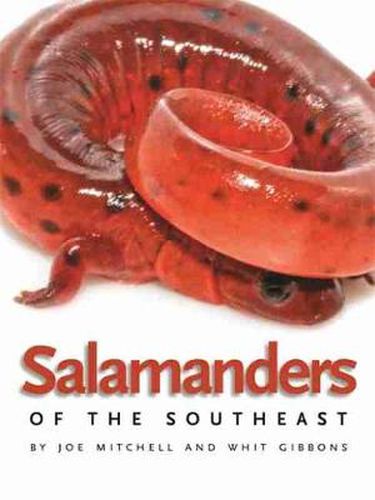 Cover image for Salamanders of the Southeast