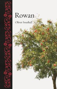 Cover image for Rowan
