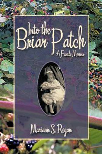 Cover image for Into the Briar Patch