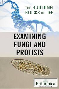 Cover image for Examining Fungi and Protists