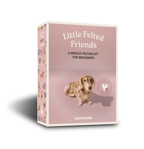 Cover image for Little Felted Friends: Dachshund