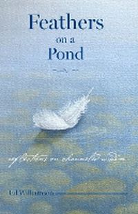 Cover image for Feathers on a Pond