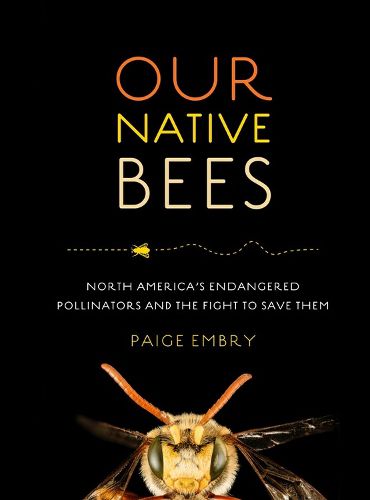 Cover image for Our Native Bees