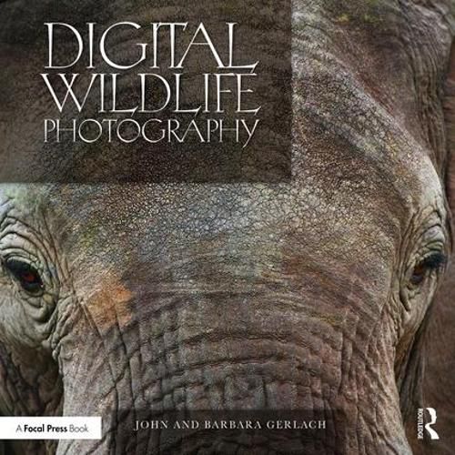 Cover image for Digital Wildlife Photography