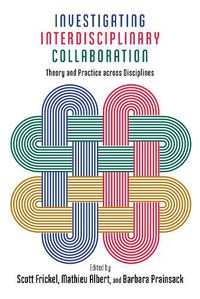 Cover image for Investigating Interdisciplinary Collaboration: Theory and Practice across Disciplines