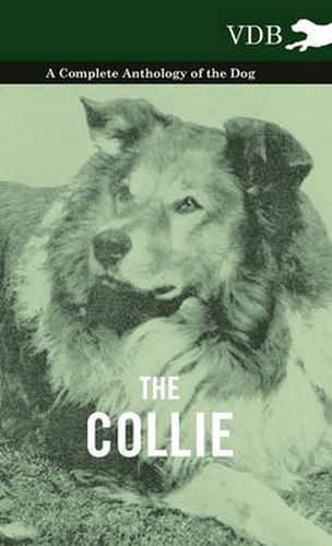 The Collie - A Complete Anthology of the Dog -