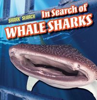 Cover image for In Search of Whale Sharks