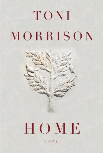 Cover image for Home: A novel