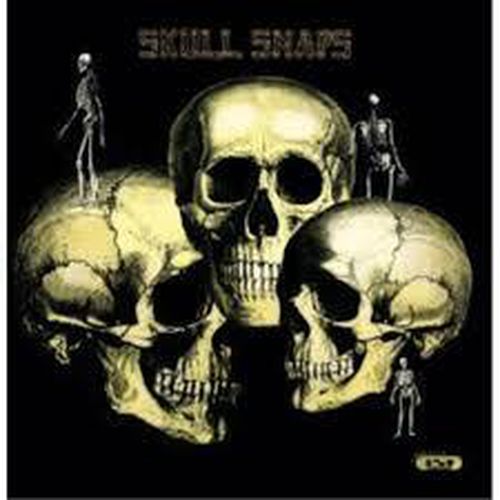 Cover image for Skull Snaps - Skull Snaps (Vinyl)