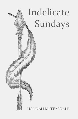 Cover image for Indelicate Sundays