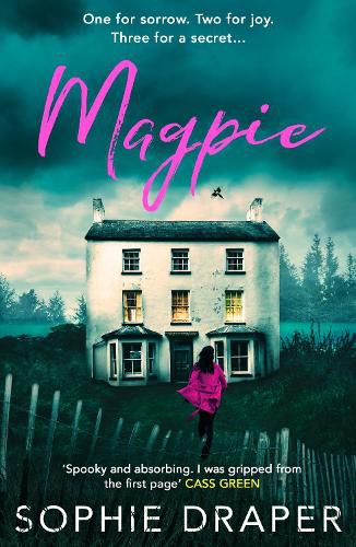 Cover image for Magpie
