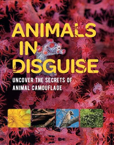 Cover image for Animals in Disguise