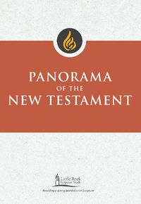 Cover image for Panorama of the New Testament