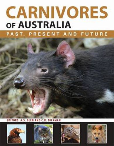 Cover image for Carnivores of Australia: Past, Present and Future