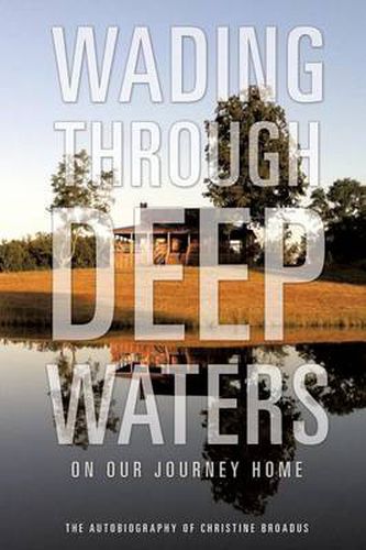 Cover image for Wading Through Deep Waters