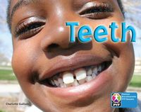 Cover image for PYP L7 Teeth 6PK