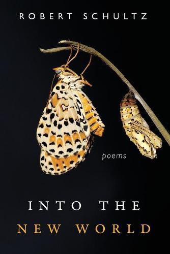 Cover image for Into the New World