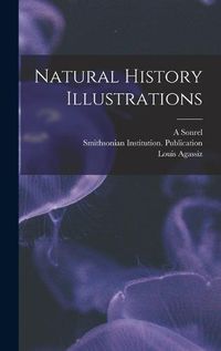 Cover image for Natural History Illustrations