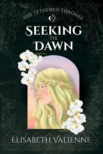 Cover image for Seeking the Dawn