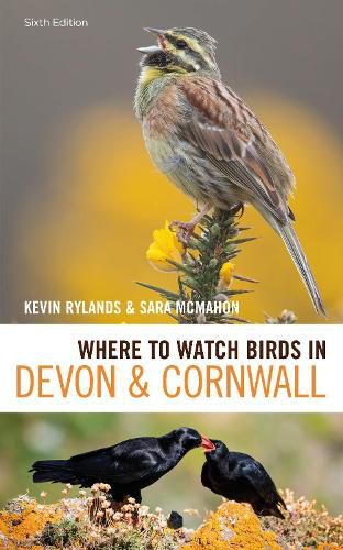 Cover image for Where to Watch Birds in Devon and Cornwall