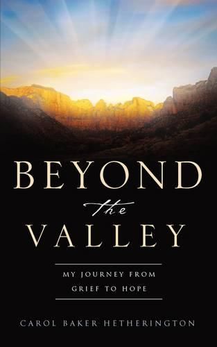 Cover image for Beyond the Valley