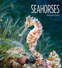 Cover image for Seahorses