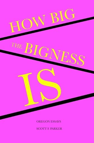 Cover image for How Big the Bigness Is