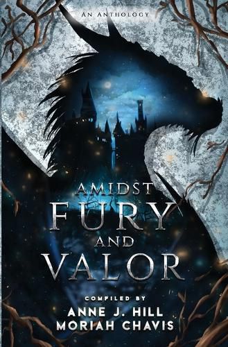 Cover image for Amidst Fury and Valor