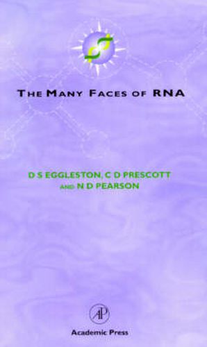 Cover image for The Many Faces of RNA