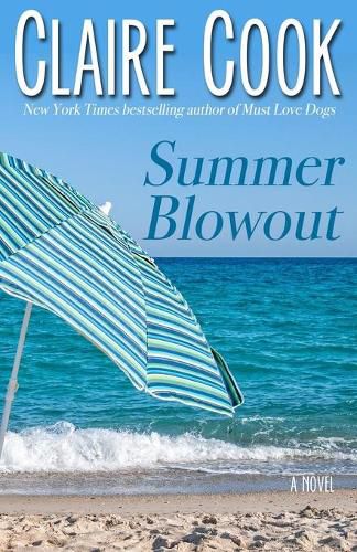 Cover image for Summer Blowout