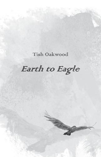 Cover image for Earth to Eagle