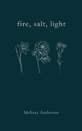 Cover image for fire, salt, light