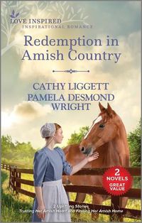 Cover image for Redemption in Amish Country