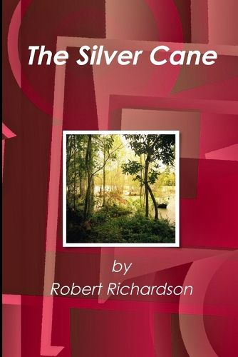 Cover image for The Silver Cane
