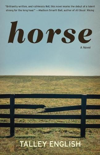 Cover image for Horse