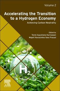 Cover image for Accelerating the Transition to a Hydrogen Economy