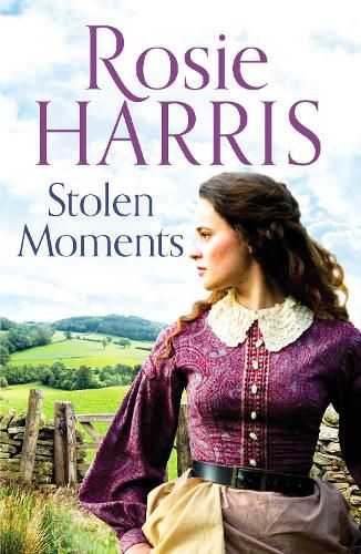 Cover image for Stolen Moments: A heartwarming saga of forbidden love