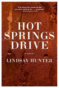 Cover image for Hot Springs Drive