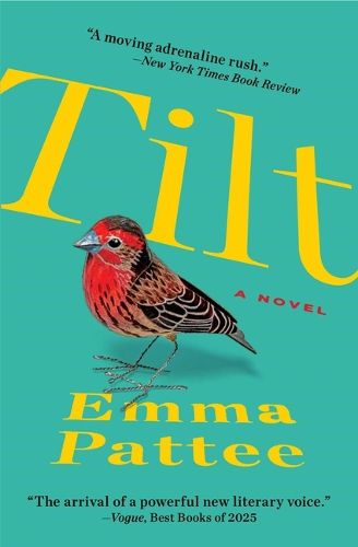 Cover image for Tilt